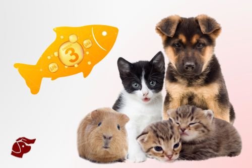 Petitico Farmácia Magistral Veterinária