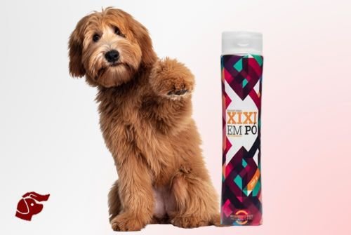 Petitico Farmácia Magistral Veterinária