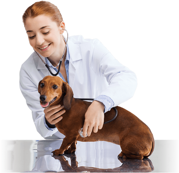 Petitico Farmácia Magistral Veterinária